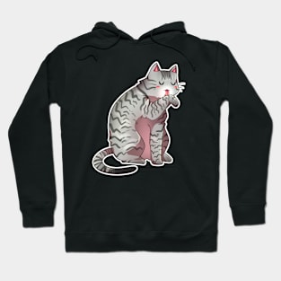 Gray Tabby Cat V.2 Hoodie